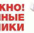 Брянские полицейские задержали телефонных мошенников из Самары. Официально известно о 14 эпизодах хищения ими денег у наших земляков. - Газета Земля Трубчевская