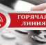 В Брянской области начала работать «горячая линия» по поддержке предпринимателей - Газета Земля Трубчевская