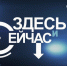 В эфире «Брянской губернии» обсудят вопросы трудоустройства - Газета Земля Трубчевская