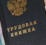 В Брянском регионе выросли выплаты для безработных гражан - Газета Земля Трубчевская