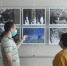 В трубчевском музее начала работу фотовыставка о зубрах заповедника «Брянский лес» - Газета Земля Трубчевская