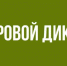 Брянцев приглашают принять участие в Цифровом диктанте - Газета Земля Трубчевская