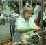 На Брянщине началась программа профессионального обучения - Газета Земля Трубчевская
