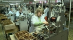 На Брянщине началась программа профессионального обучения