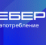 Интернет завоевал симпатии старшего поколения - Газета Земля Трубчевская