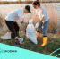 Проявить себя и помочь природе — стартовали Всероссийские дни единых действий по уборке природных территорий «Зов природы» - Газета Земля Трубчевская