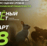 Брянцев приглашают принять участие в экологическом тестировании «Зелёный Зачёт» - Газета Земля Трубчевская