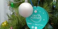 Жители Брянщины выполнили новогодние желания детей луганской Брянки - Газета Земля Трубчевская