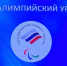 В Брянске проходят мастер-классы с паралимпийцами в рамках премии «Возвращение в жизнь» - Газета Земля Трубчевская