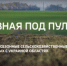 На Брянщине сняли репортаж, как проходит «Посевная под пулями» - Газета Земля Трубчевская