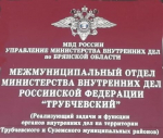 В Трубчевске проходил «Табор»