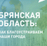 Владимир Путин поручил развивать адаптивный спорт - Газета Земля Трубчевская