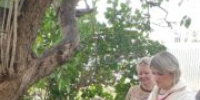 Трубчане голосуют на дому - Газета Земля Трубчевская