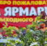 Во всех районах областного центра Брянщины продолжают работу ярмарки выходного дня - Газета Земля Трубчевская